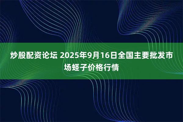 炒股配资论坛 2025年9月16日全国主要批发市场蛏子价格行情