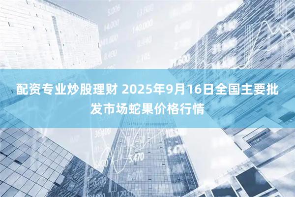 配资专业炒股理财 2025年9月16日全国主要批发市场蛇果价格行情