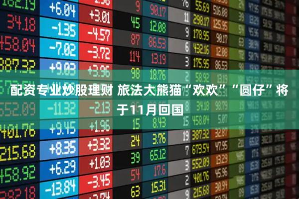 配资专业炒股理财 旅法大熊猫“欢欢”“圆仔”将于11月回国