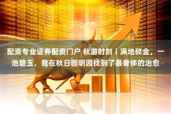 配资专业证券配资门户 秋游时刻丨满地碎金，一池碧玉，我在秋日圆明园找到了最奢侈的治愈