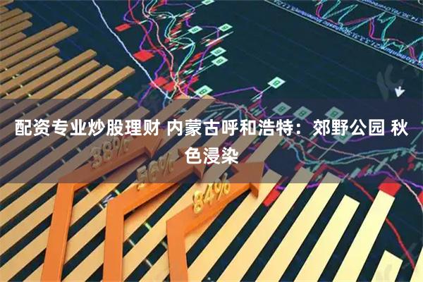 配资专业炒股理财 内蒙古呼和浩特：郊野公园 秋色浸染