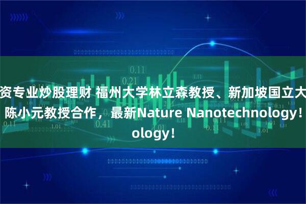配资专业炒股理财 福州大学林立森教授、新加坡国立大学陈小元教授合作，最新Nature Nanotechnology！